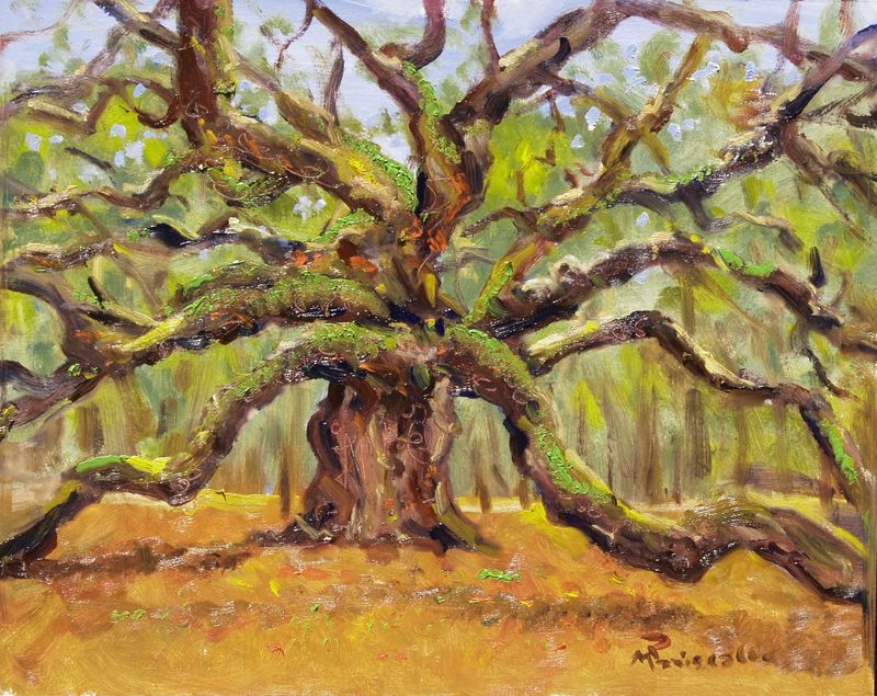 "Angel Oak"