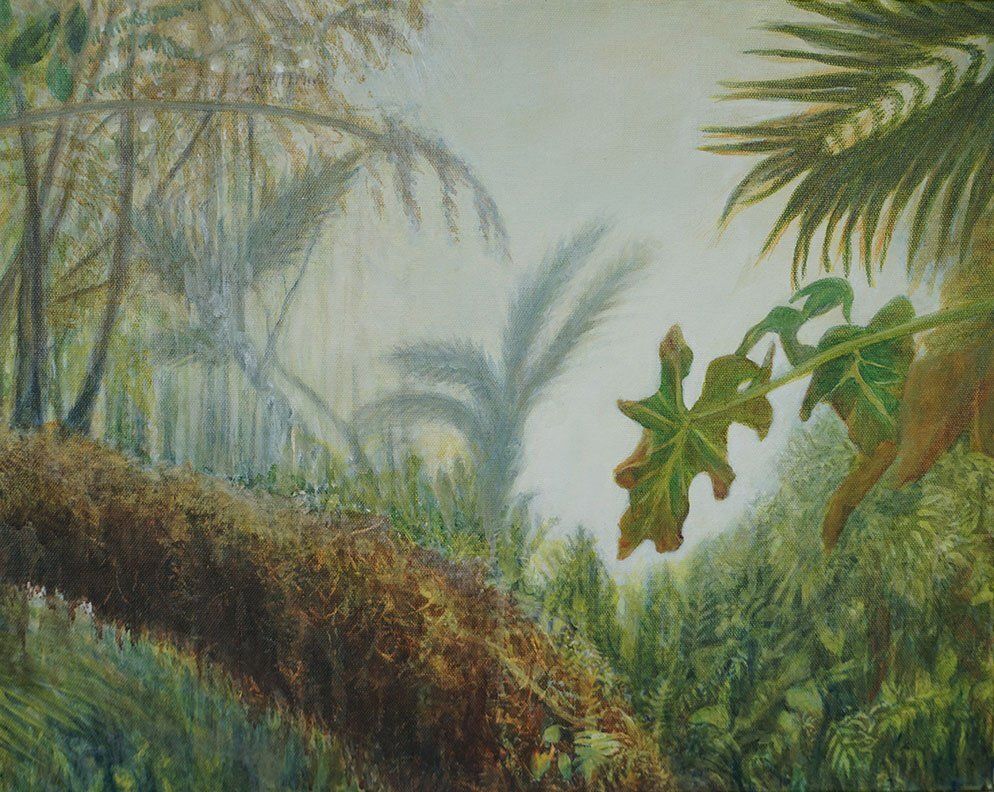 "Cloud Forest on Mount Scenery 2 -Saba, Netherland Antilles " by Missie Stevenson