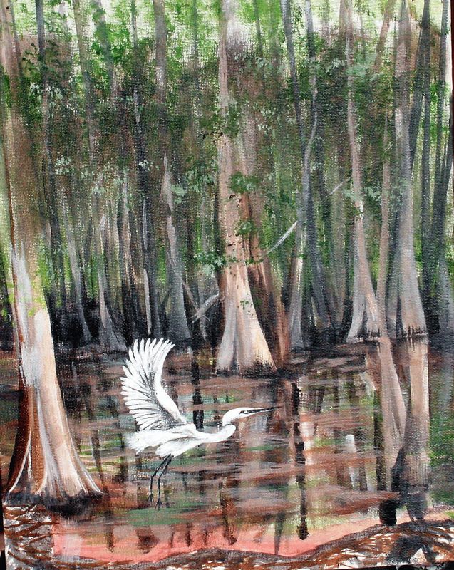 "Cypress Swamp Wildlife" by Steve Bond