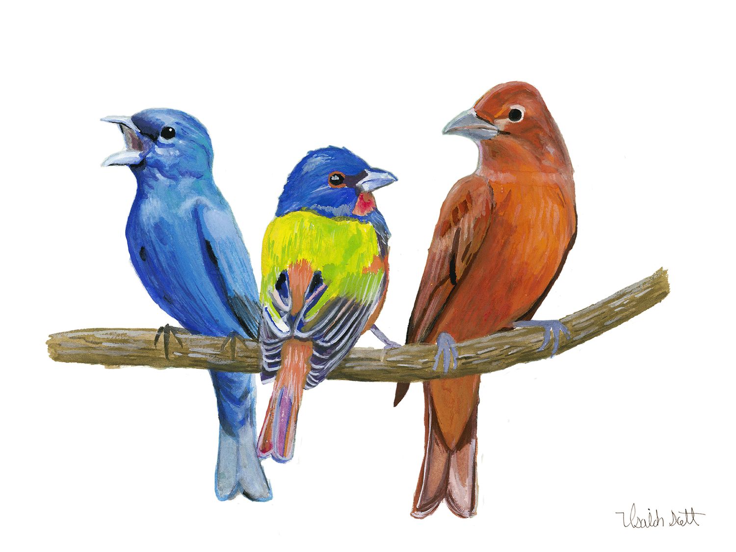 "Summer Songbirds" by Isaiah Scott