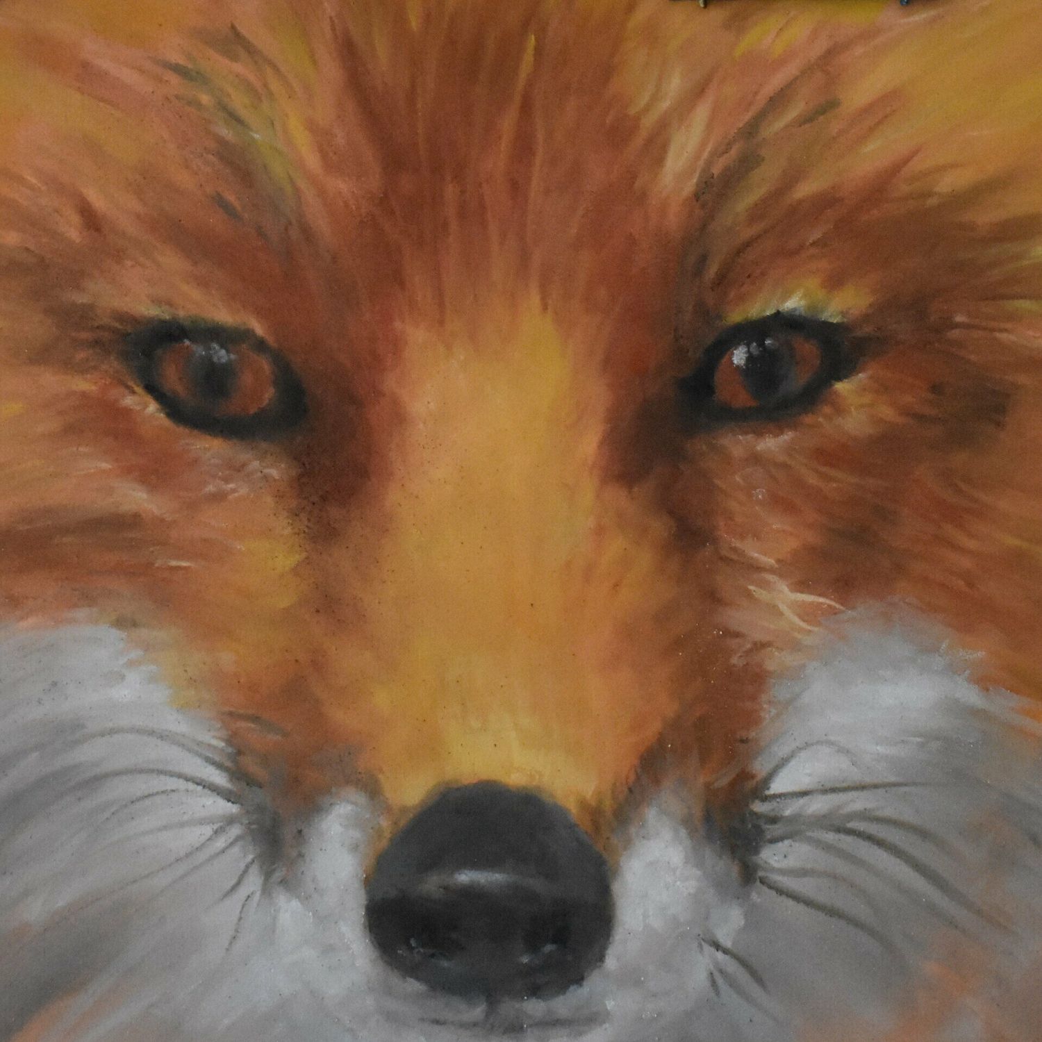 "Those Foxy Eyes" by Sue Selvey