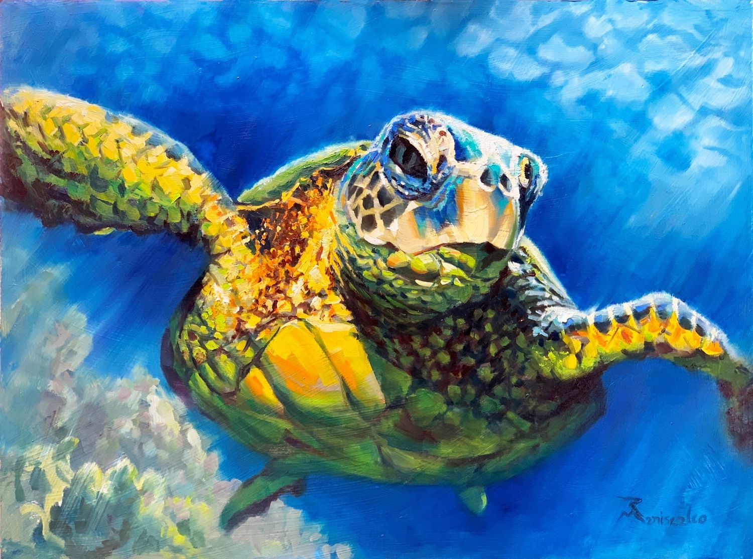 "Sea Turtle"