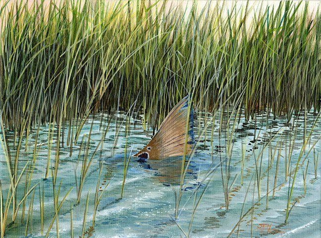 "Tails of the Afternoon" by Seth Kimble