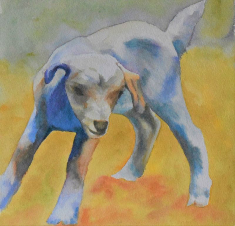 "Who are you kidding" by Sue Selvey