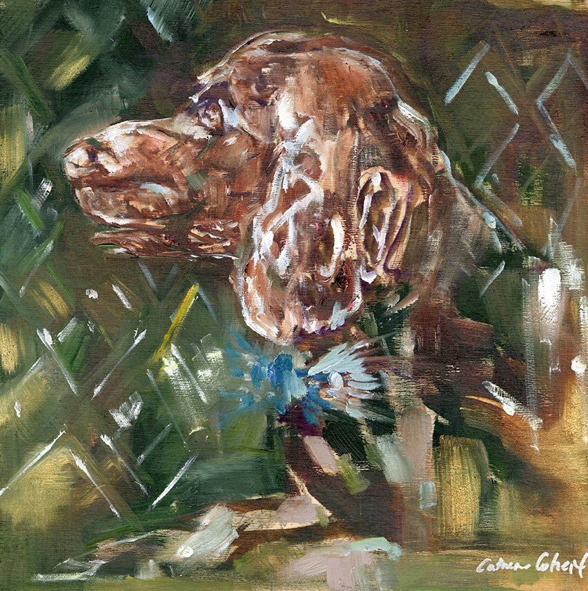 "Boykin" by Danielle Cather-Cohen