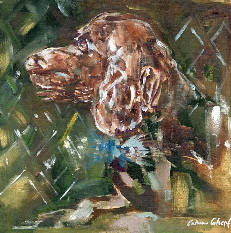 "Boykin" by Danielle Cather-Cohen