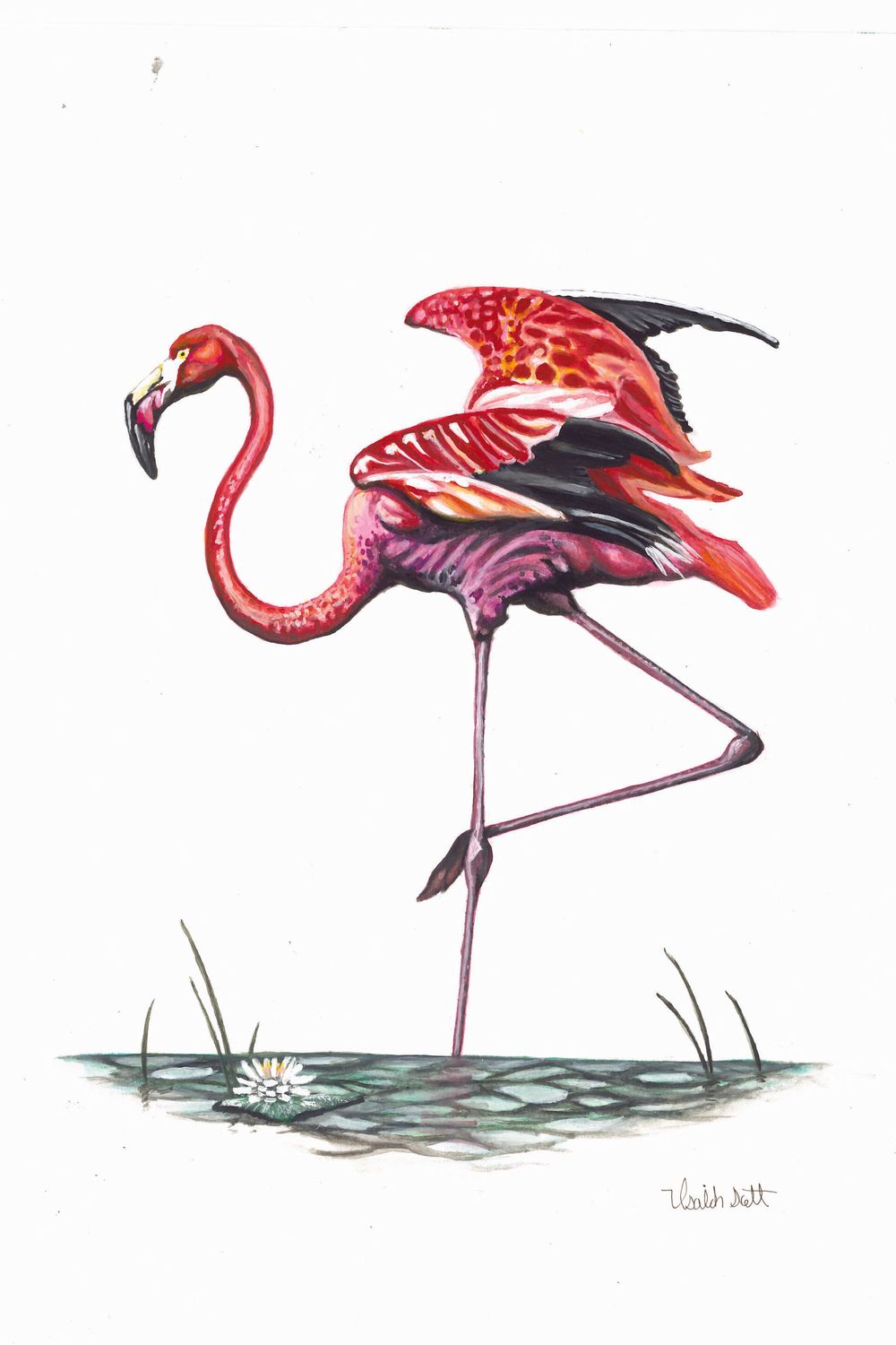 "Flamingo" by Isaiah Scott