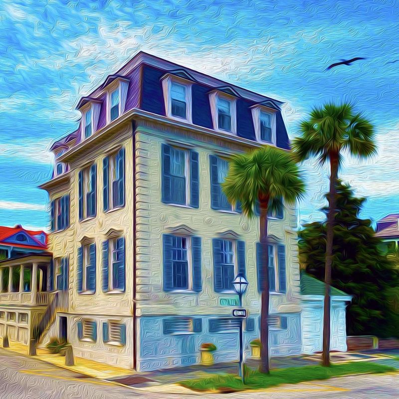 "Birds on East Bay" by Mark Baratto