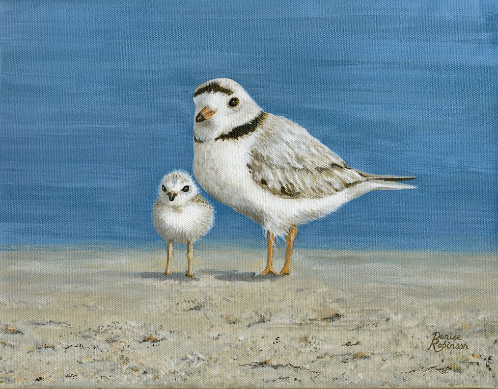 "Plover Love" by Denise Robinson