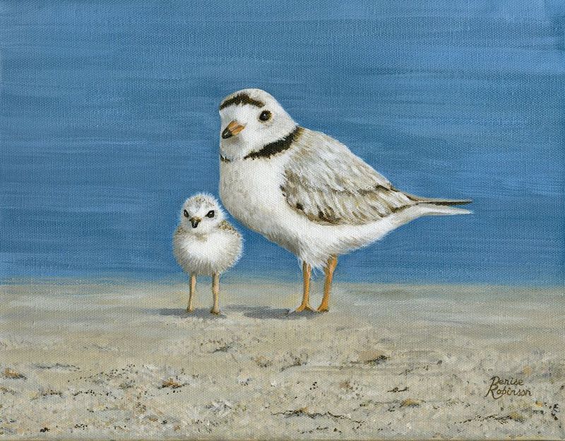 "Plover Love" by Denise Robinson