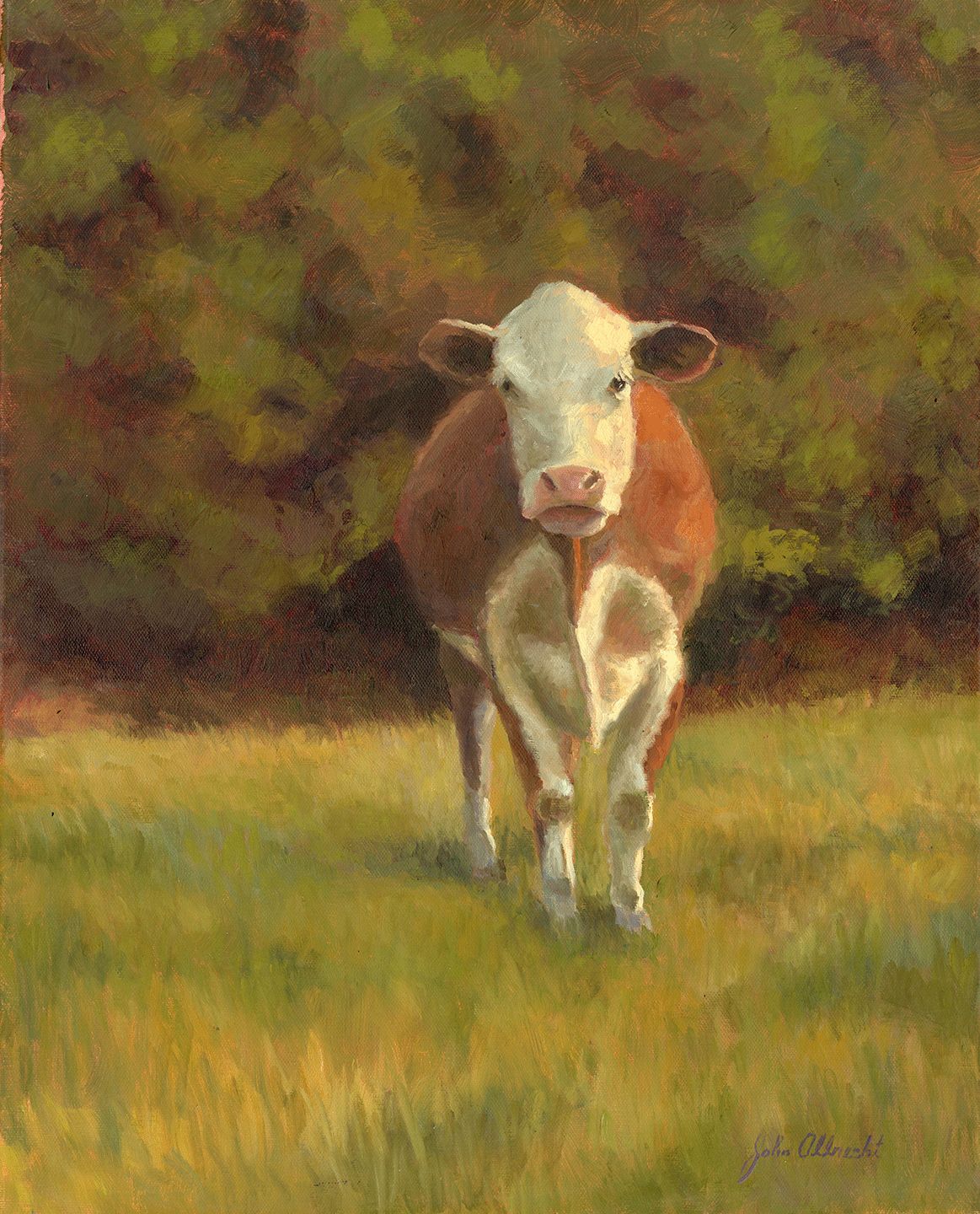"Have a Cow" by John Albrecht