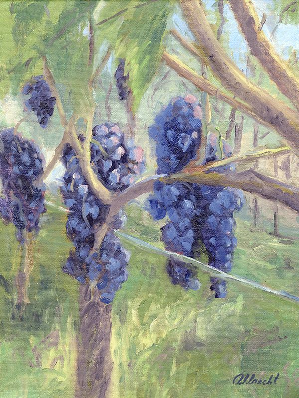 "Grapes Galore" by John Albrecht