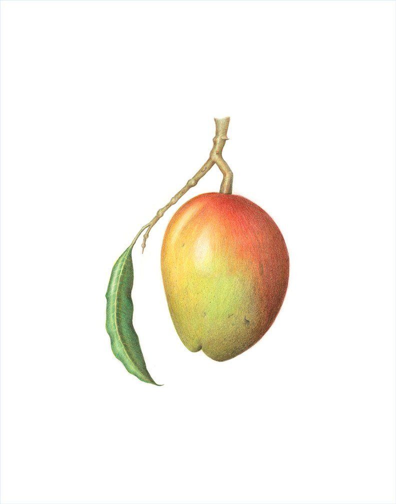 "Mango" by Denise Robinson