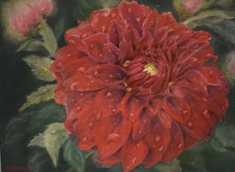 "Dewy Dahlia" by Sue Selvey