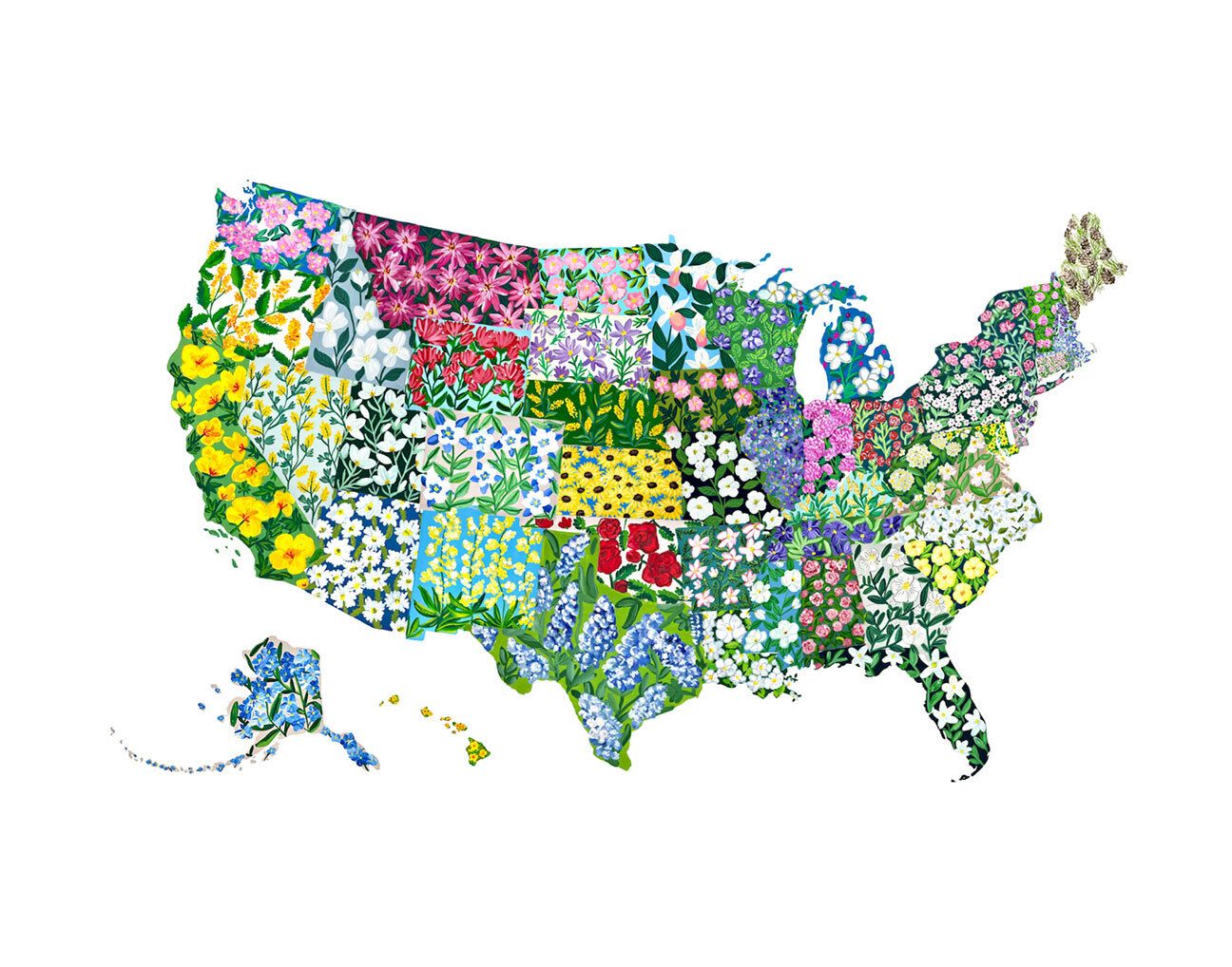 "American Floral" by Daniela Arenas