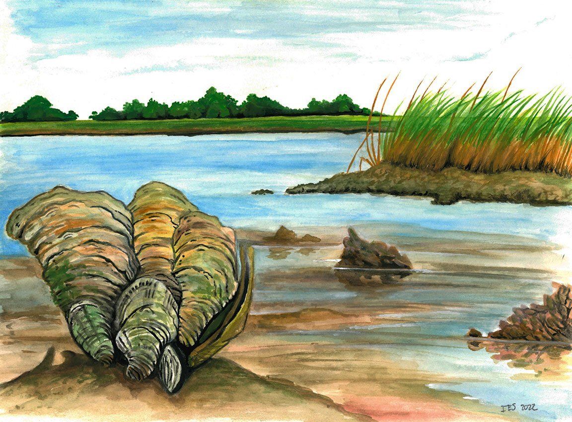 "Oyster Marsh Scene" by Isaiah Scott