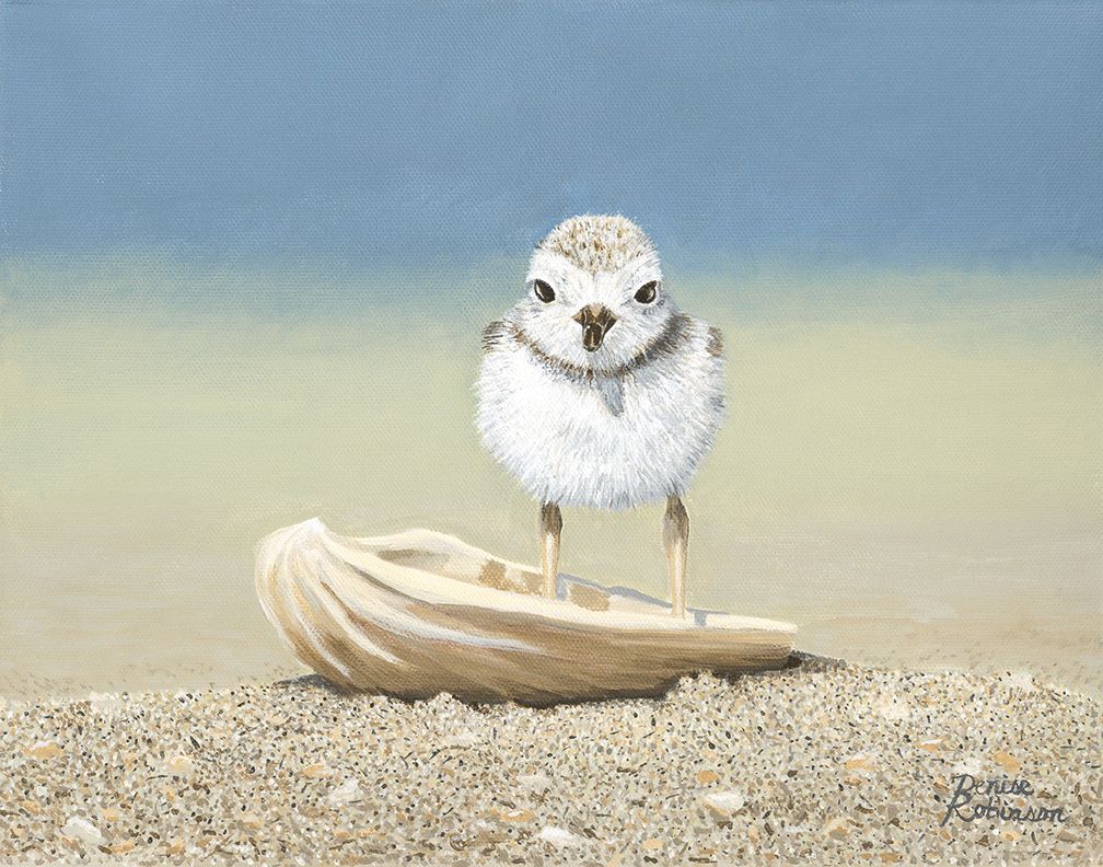 "Plover on the Half Shell" by Denise Robinson