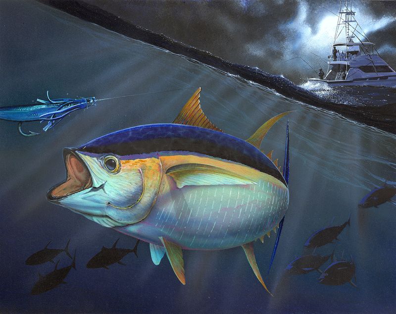 "Tuna" by Richard F. Rose