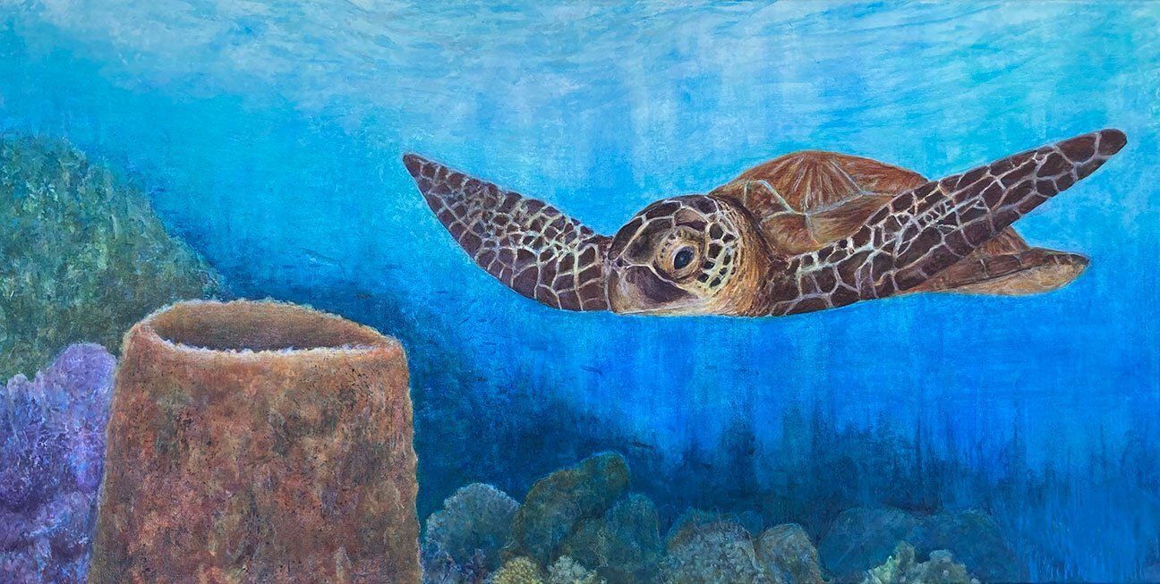 "Myrtle the Green Sea Turtle" by Missie Stevenson