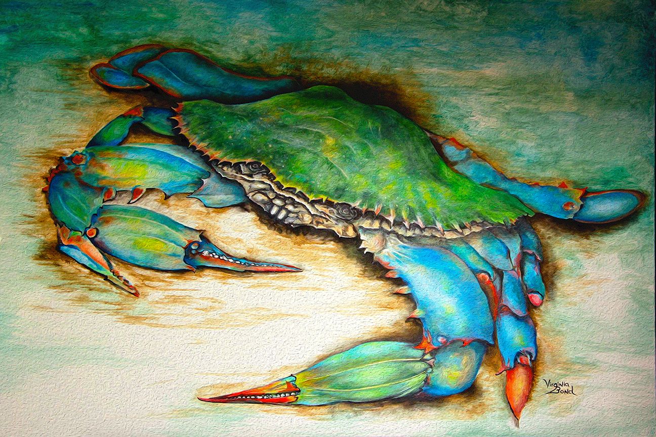 "Carolina Blue Crabs" by Virginia Bond