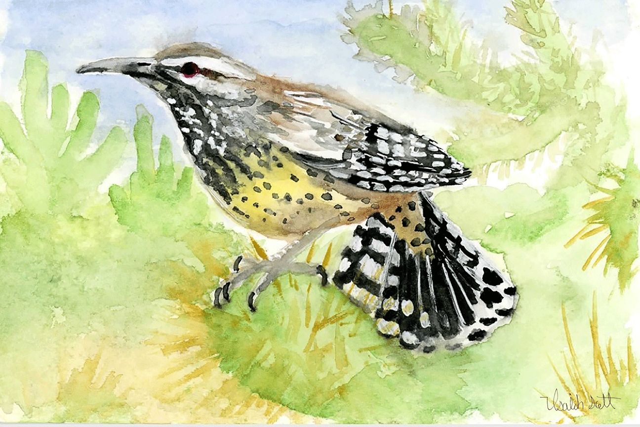 "Cactus Wren" by Isaiah Scott
