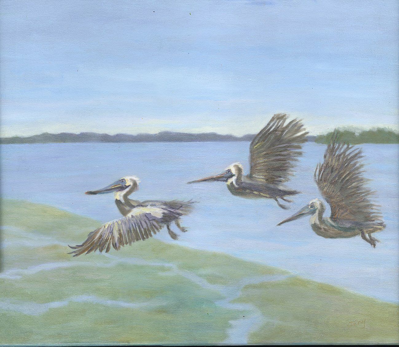 "Pelicans in Flight" by Jeny McCullough