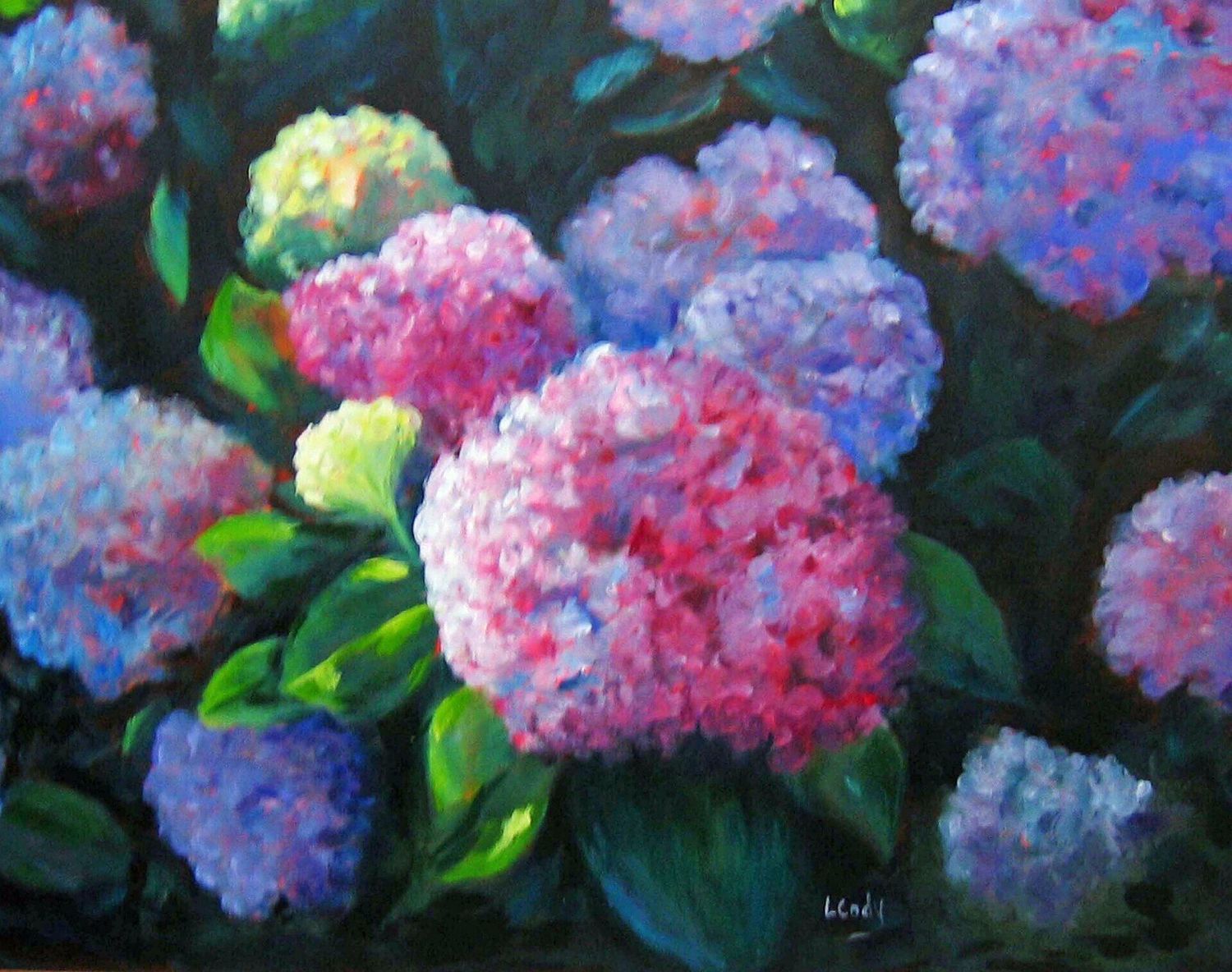 "GLISTENING HYDRANGEA"