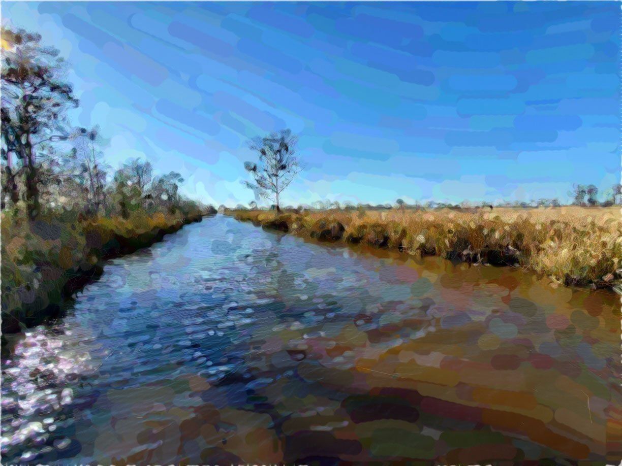 "Take Me to the World" by David Johnson