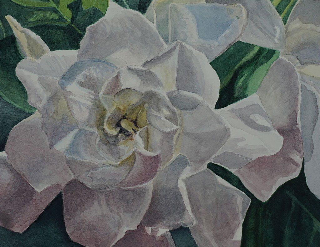 "Gardenia" by Missie Stevenson