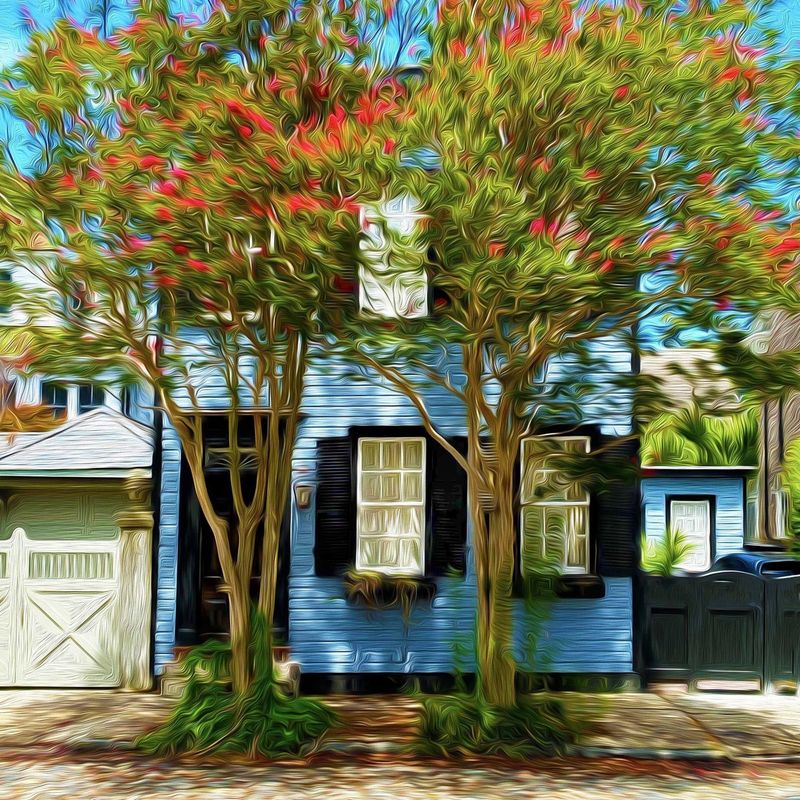 "Behind the Tree" by Mark Baratto