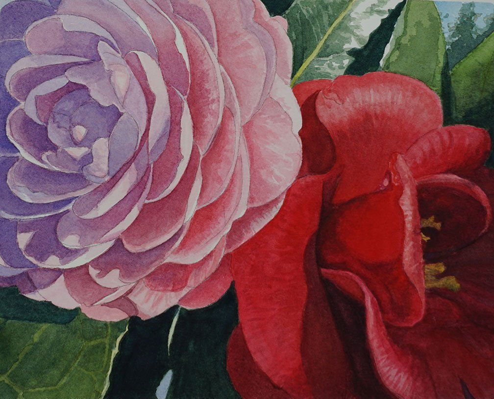 "Camillas" by Missie Stevenson