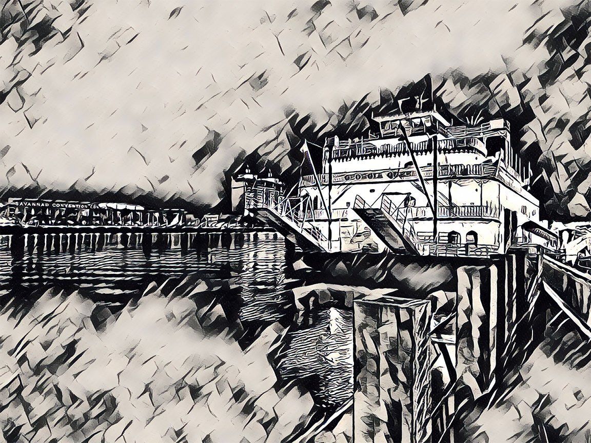 "Savannah Paddle Boat 2" by David Johnson