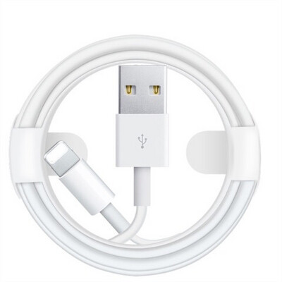 Apple - 6Ft USB Lightning cable (2Pack)
