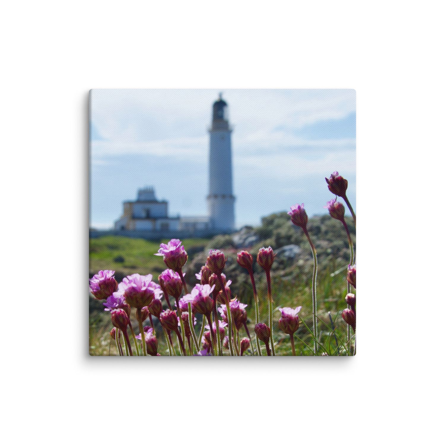Wildflowers and Corsewall Lighthosue Canvas