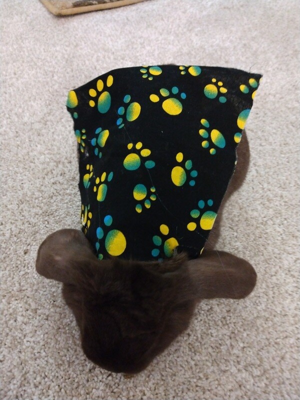 Pet Cape