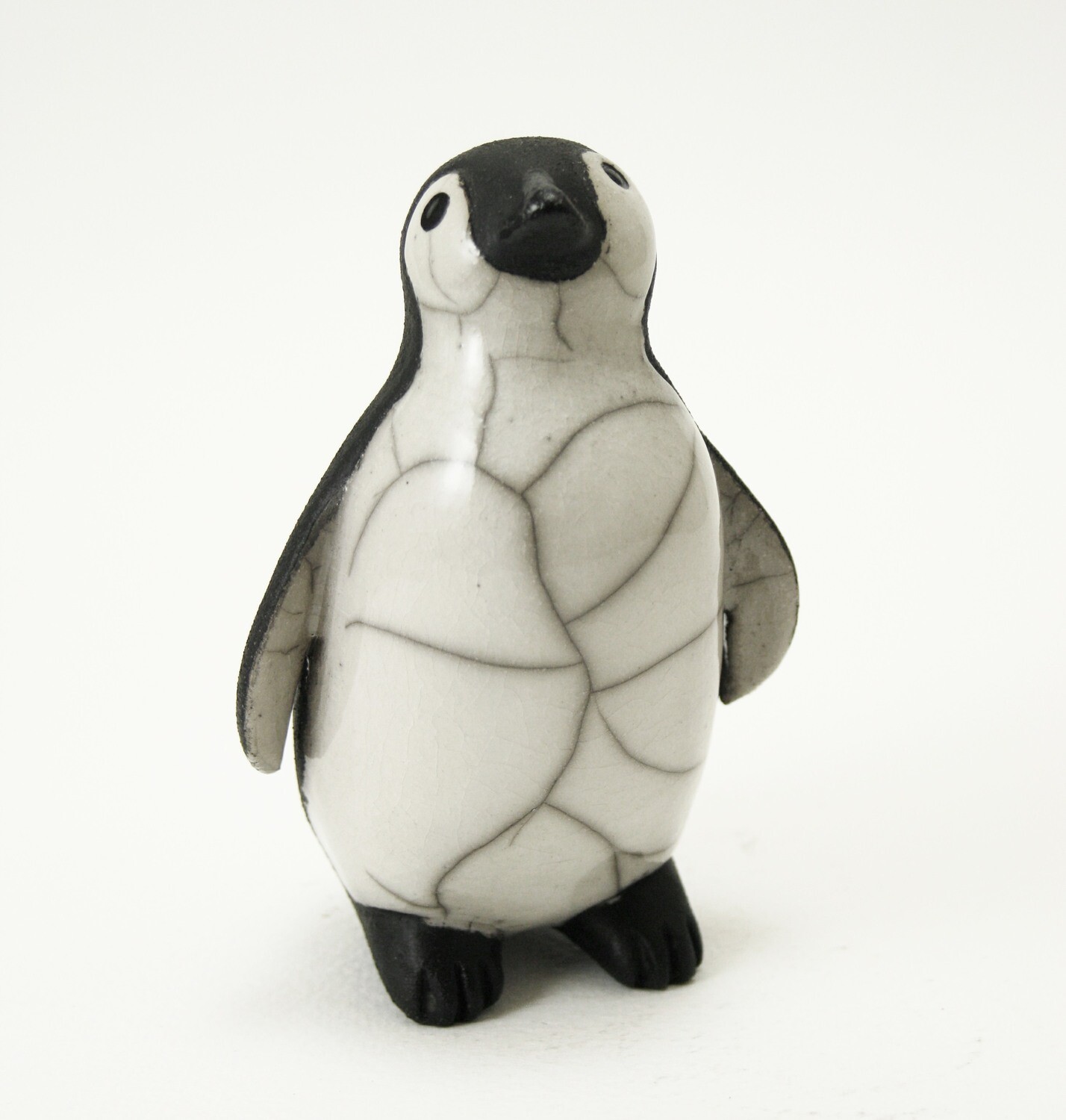 Penguin Chick - Looking-up