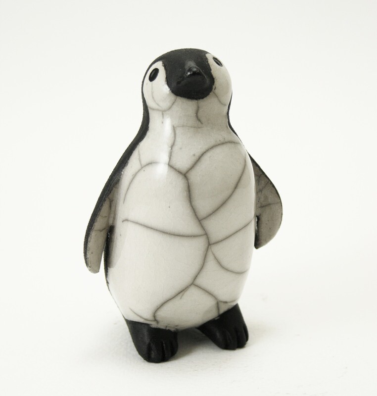 Penguin Chick - Looking-up