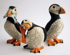 Puffins