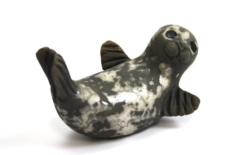 Seal Pup on Back