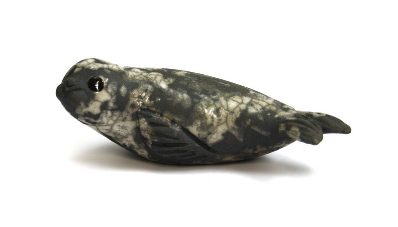 Seal Pup on Belly