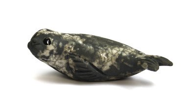Seal Pup on Belly
