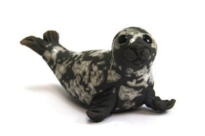 Seal Pup on Flippers
