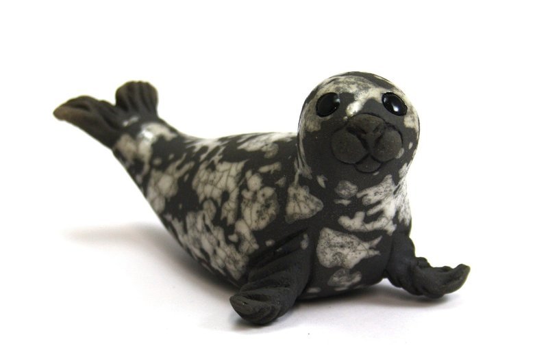 Seal Pup on Flippers