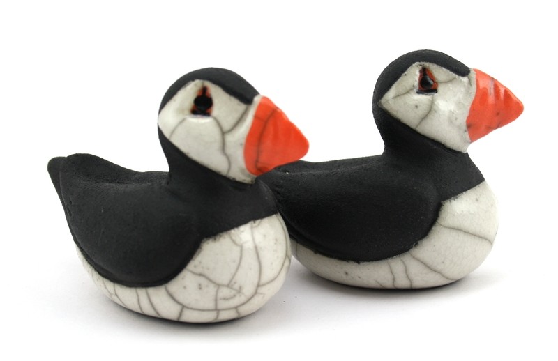 small Nesting Puffin