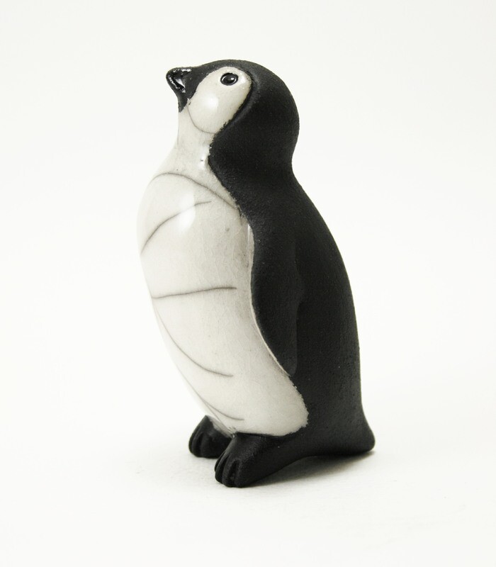 Penguin Chick - Looking-up