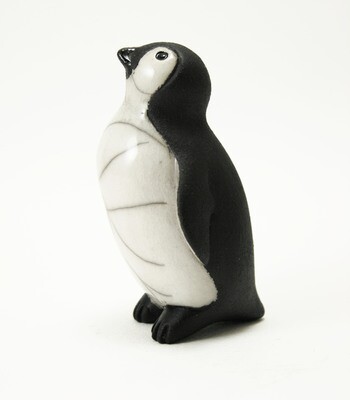 Penguin Chick - Looking-up