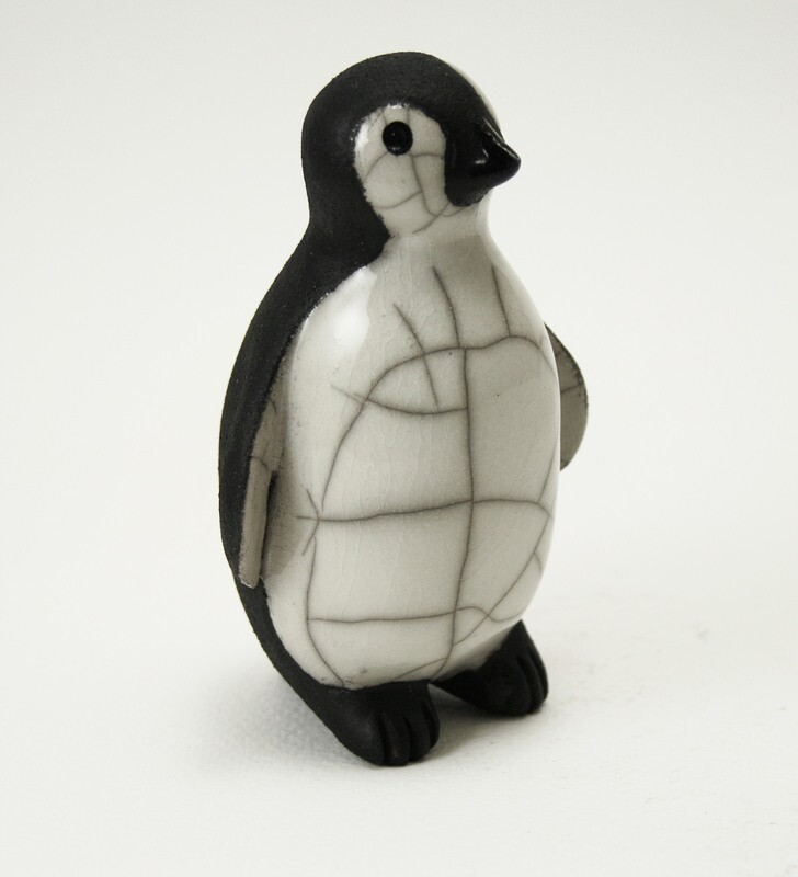 Penguin Chick - Looking-forward