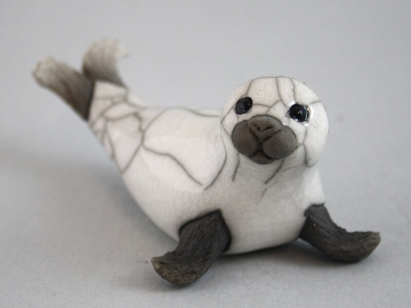 Seal Pup on Flippers