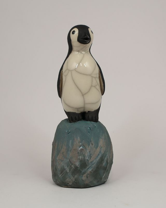 Penguin on Rock
