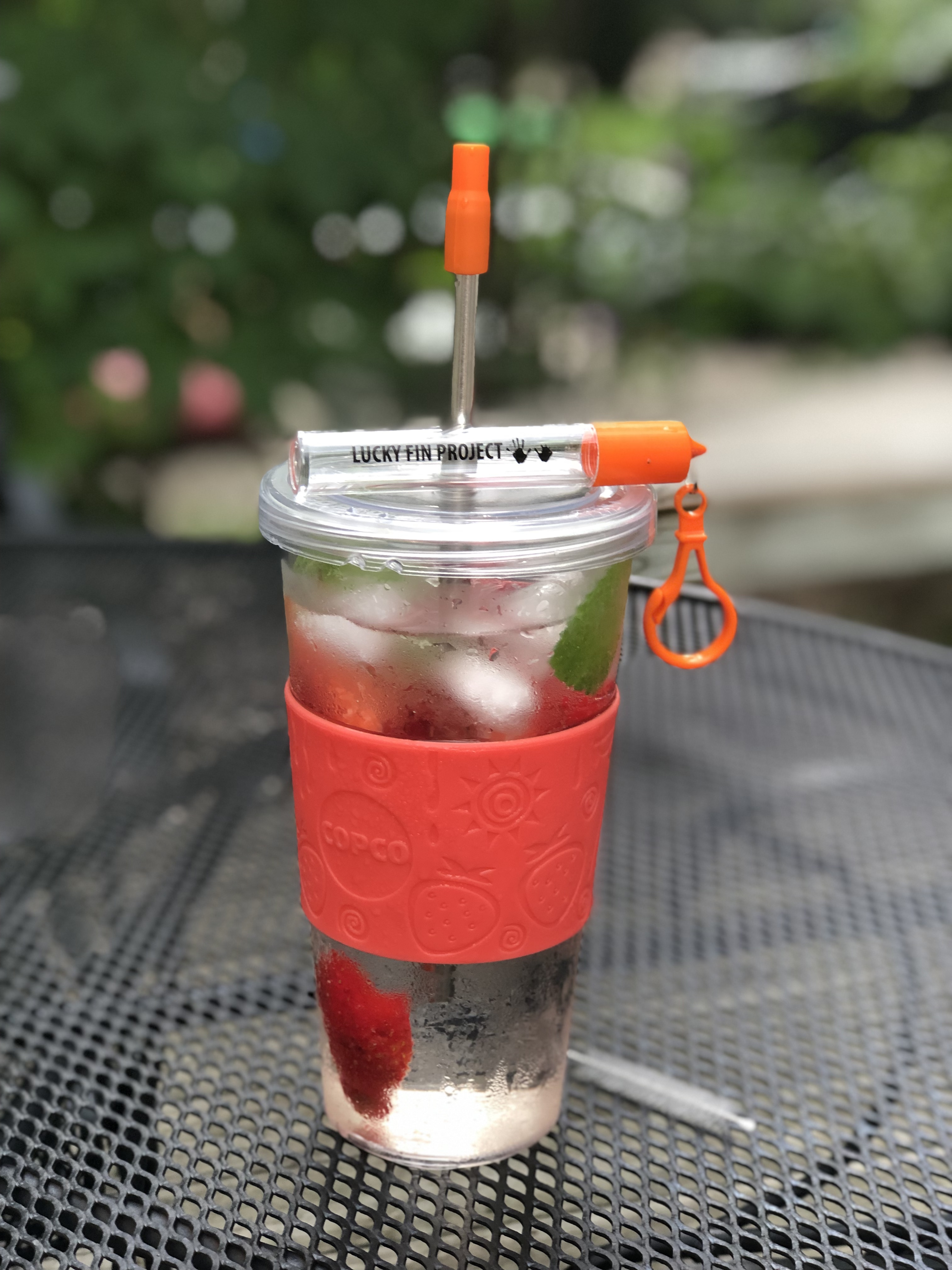 Collapsible Stainless Steel Straw Kit